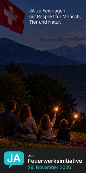 Hochkantbanner mit Nachtbild: JA zu Feiertagen mit Respekt f&uuml;r Mensch, Tier und Natur