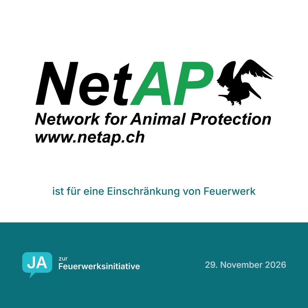 NetAP ist für eine Einschränkung von Feuerwerk