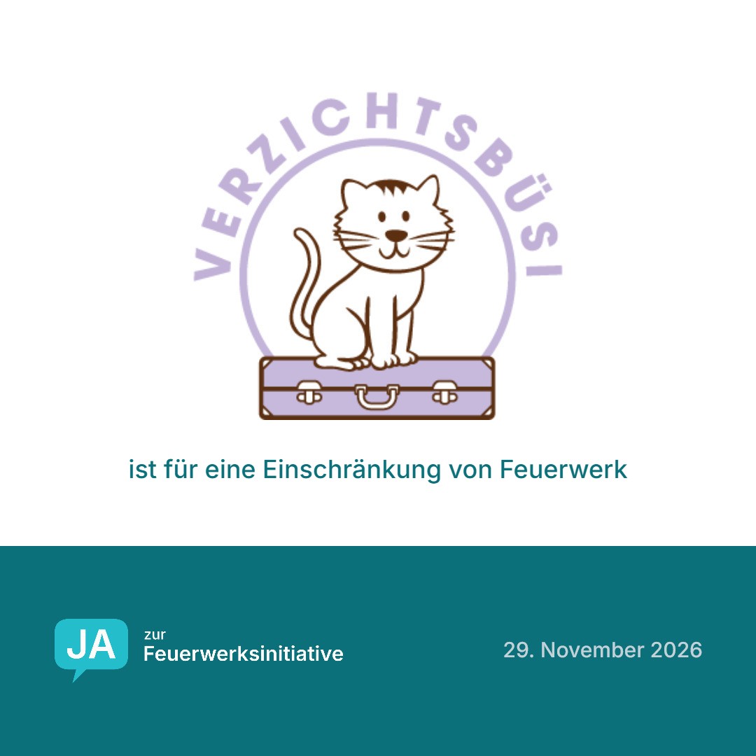 Verzichtsbüsi.ch ist für eine Einschränkung von Feuerwerk